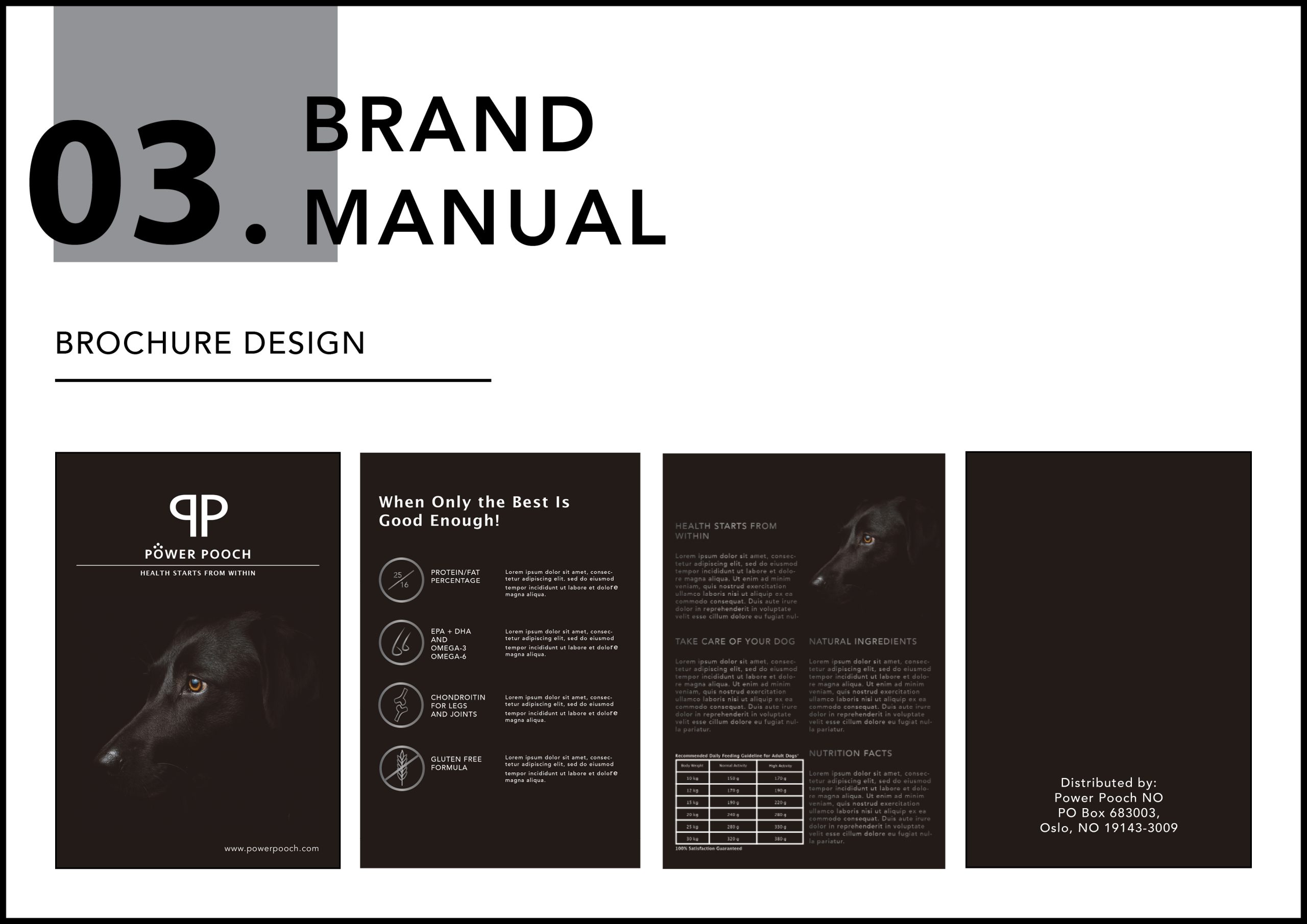Brand-Manual.4